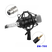 Microfono Condensador Estudio Profesional Bm700 Con Estuche