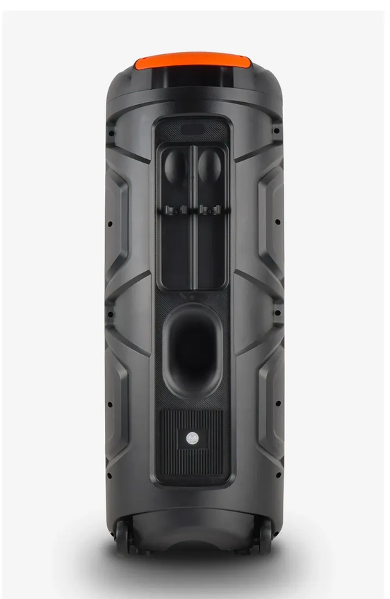 Parlante Bluetooth Dipaoer Dp-2137 Torre 2x12 Con Micrófonos