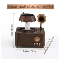 Humidificador Difusor Tocadiscos Lluvia Mas Esencia