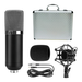 Microfono Condensador Estudio Profesional Bm700 Con Estuche