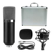 Microfono Condensador Estudio Profesional Bm700 Con Estuche