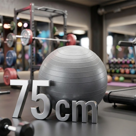 Pelota De Yoga Pilates Gimnasia 75 Cm Profesional Reforzada