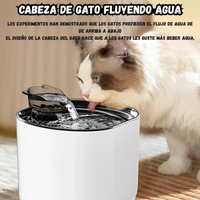Bebedero Automatico Para Mascotas Con Sensor De Movimiento