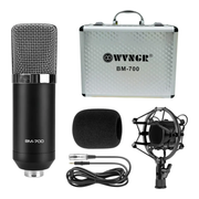 Microfono Condensador Estudio Profesional Bm700 Con Estuche