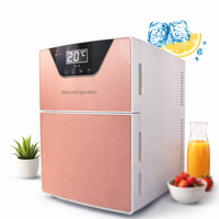Mini Nevera Digital Portátil Doble Compartimiento Diseño Elegante