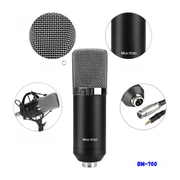 Microfono Condensador Estudio Profesional Bm700 Con Estuche