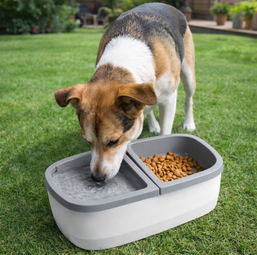 Dispensador De Comida y Fuente De Agua Para Mascotas 2 en 1