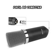 Microfono Condensador Estudio Profesional Bm700 Con Estuche