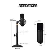 Microfono Condensador Estudio Profesional Bm700 Con Estuche