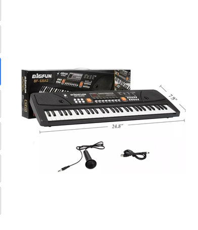 Piano Organeta Musical Para Niños 61 Teclas Bigfun Microfono