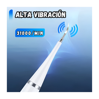 Cepillo de dientes electrico ultrasonico recargable 31000 RPM