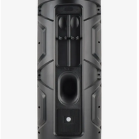 Parlante Bluetooth Dipaoer Dp-2137 Torre 2x12 Con Micrófonos