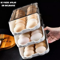 Organizador De Huevos De Plástico Deslizante Nevera Con Tapa