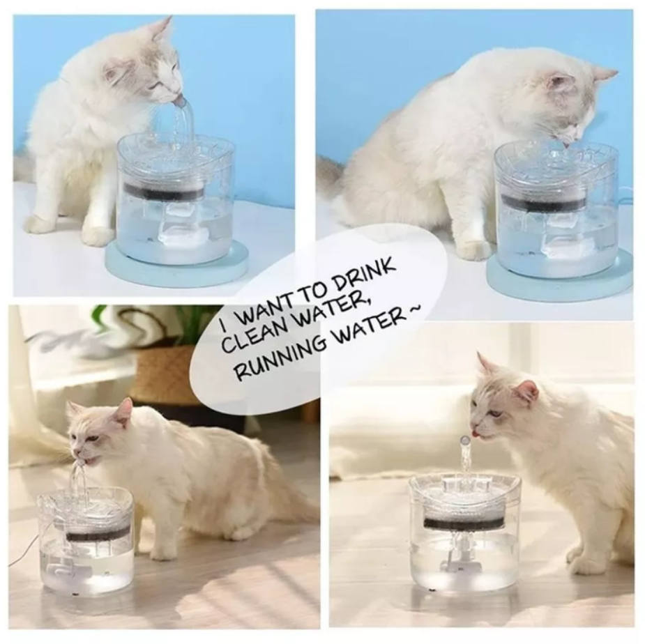 Fuente De Agua Gatos Bebedero Automatico Dispensador Agua